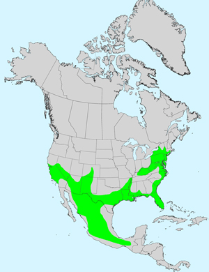 North America species range map for Bidens laevis: Click image for full size map